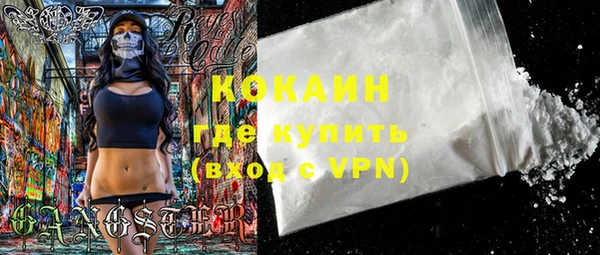 ПСИЛОЦИБИНОВЫЕ ГРИБЫ Ельня