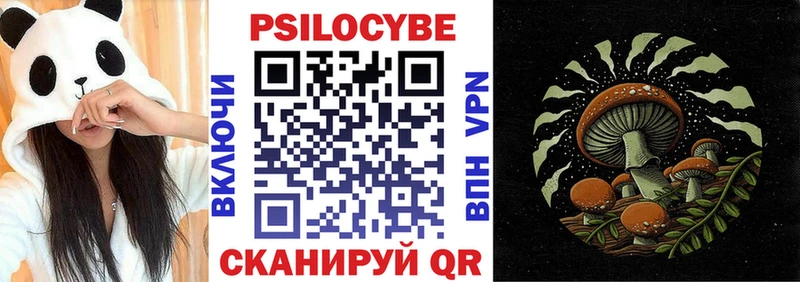 наркота  Ясногорск  Псилоцибиновые грибы Psilocybe 